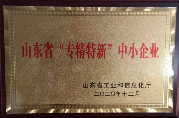 山东省专精特新中小企业